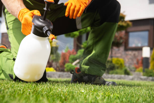 Best Local Pest Control Services  in Farley, KY